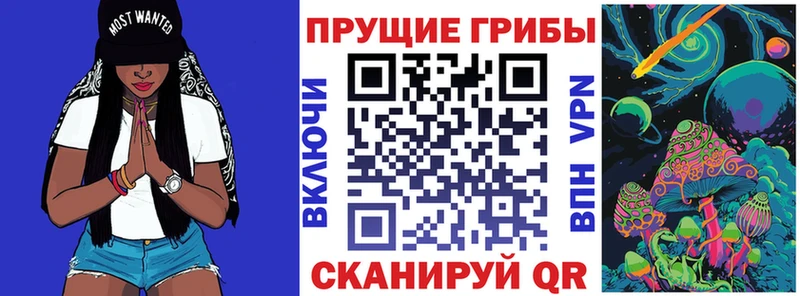 Псилоцибиновые грибы Psilocybine cubensis  Одинцово 